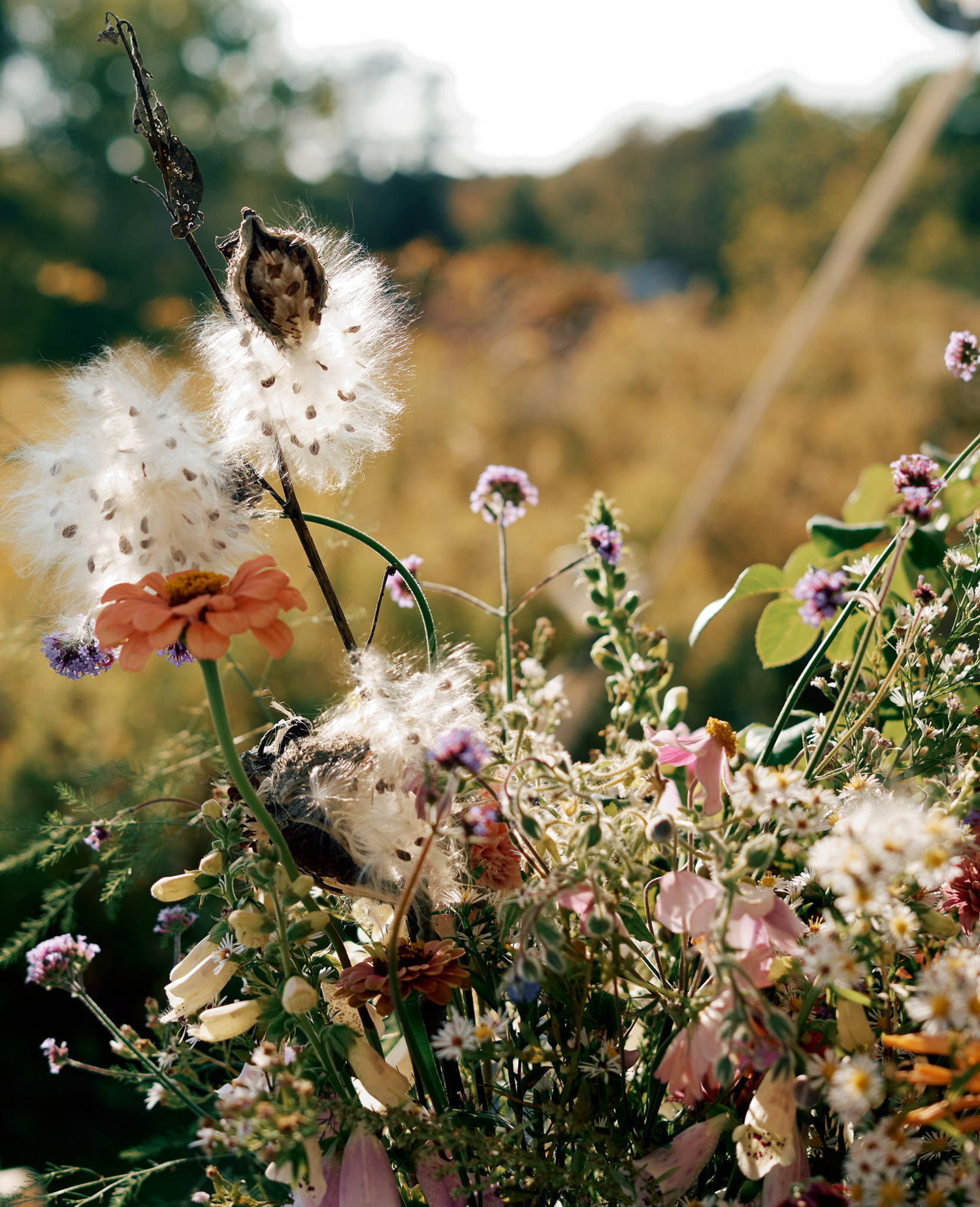 The Wedding Website of Luca Pearl khosrova and Oliver Tomson