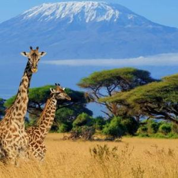 Our Tanzania Honeymoon Fund