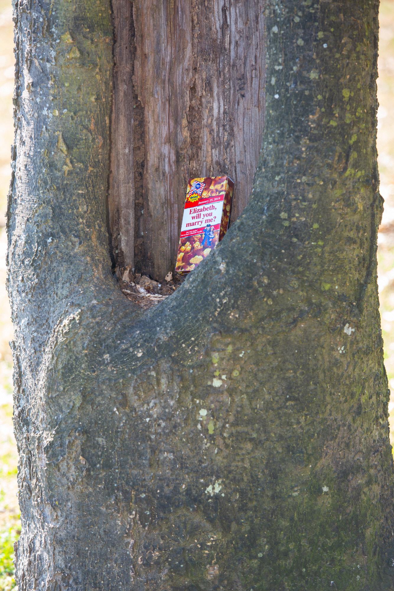 The infamous Cracker Jack box!
