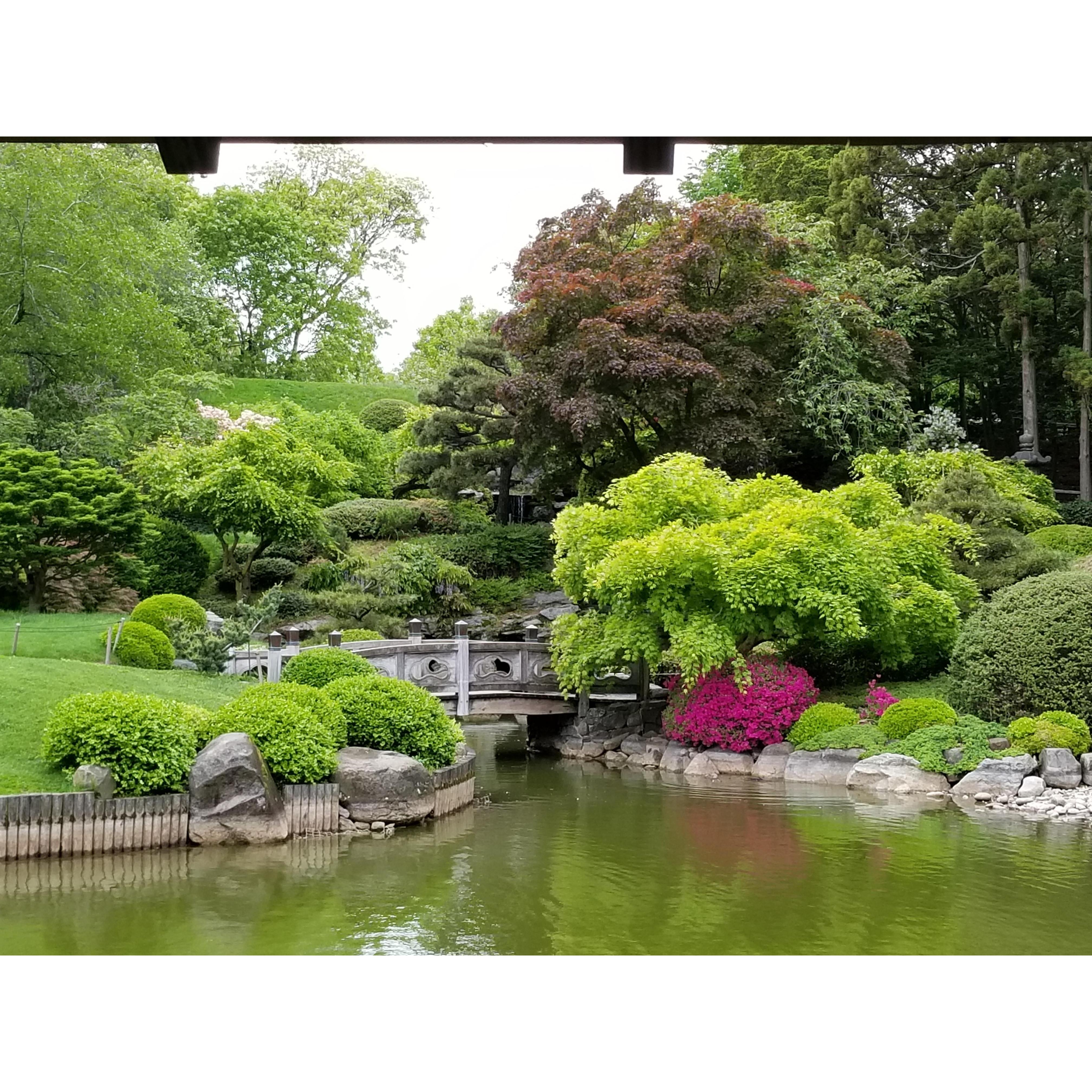 May 19th 2019 Brooklyn Botanical Gardens Japanese Hill and Pond Bow Bridge aka The Spot