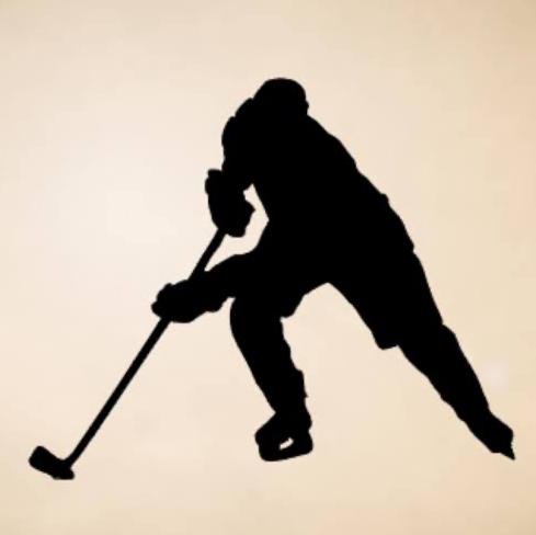 Hockey Game Tickets for two