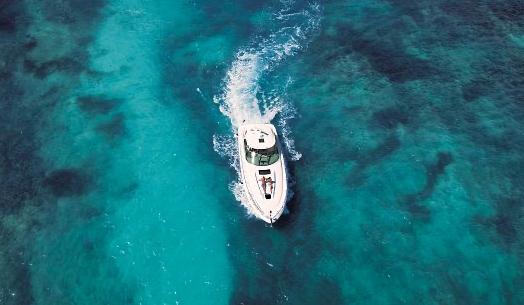 The Wedding Website of Brooke Homann and Aaron Dodge