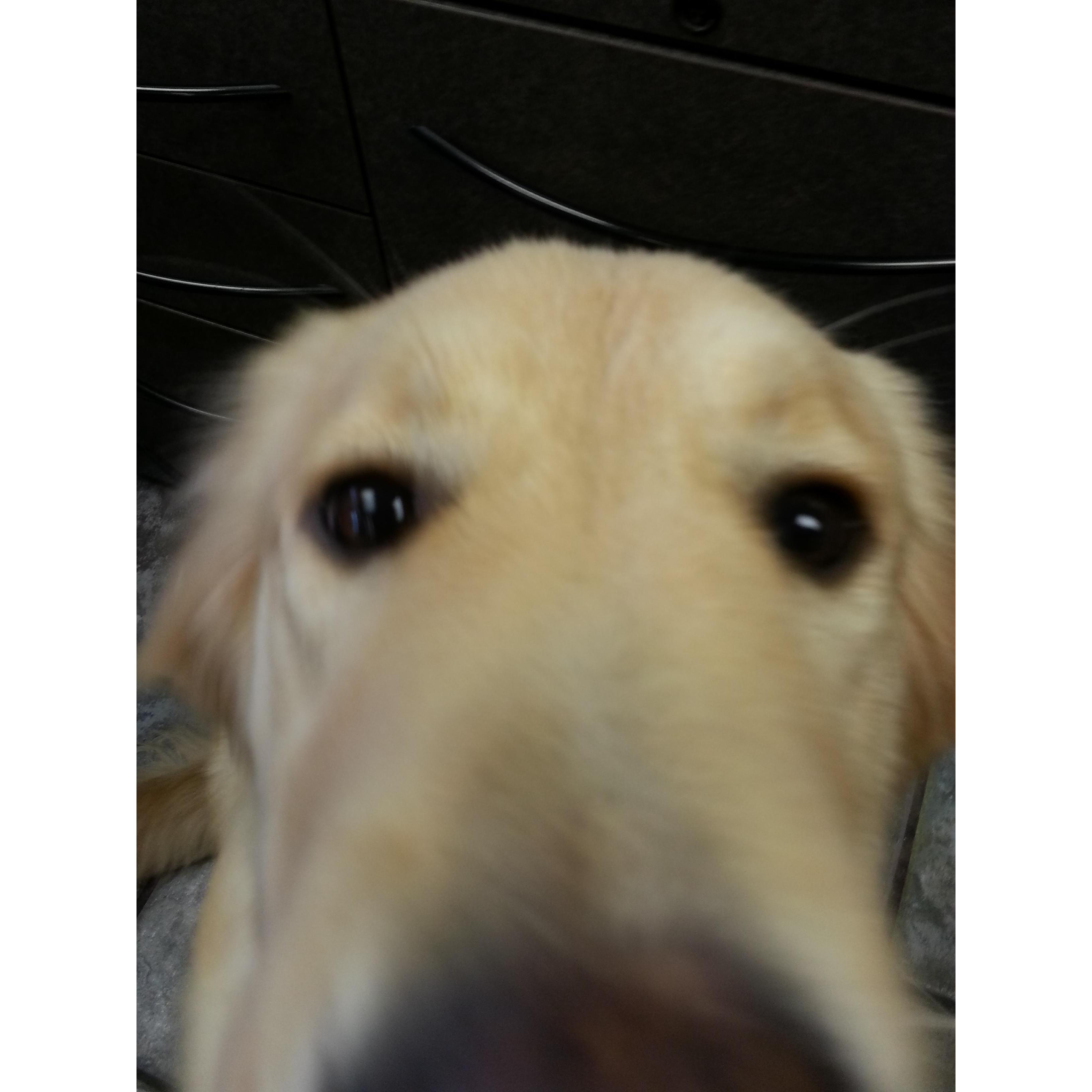 Hi!