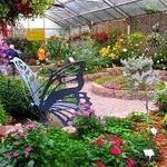 The Original Mackinac Island Butterfly House & Insect World