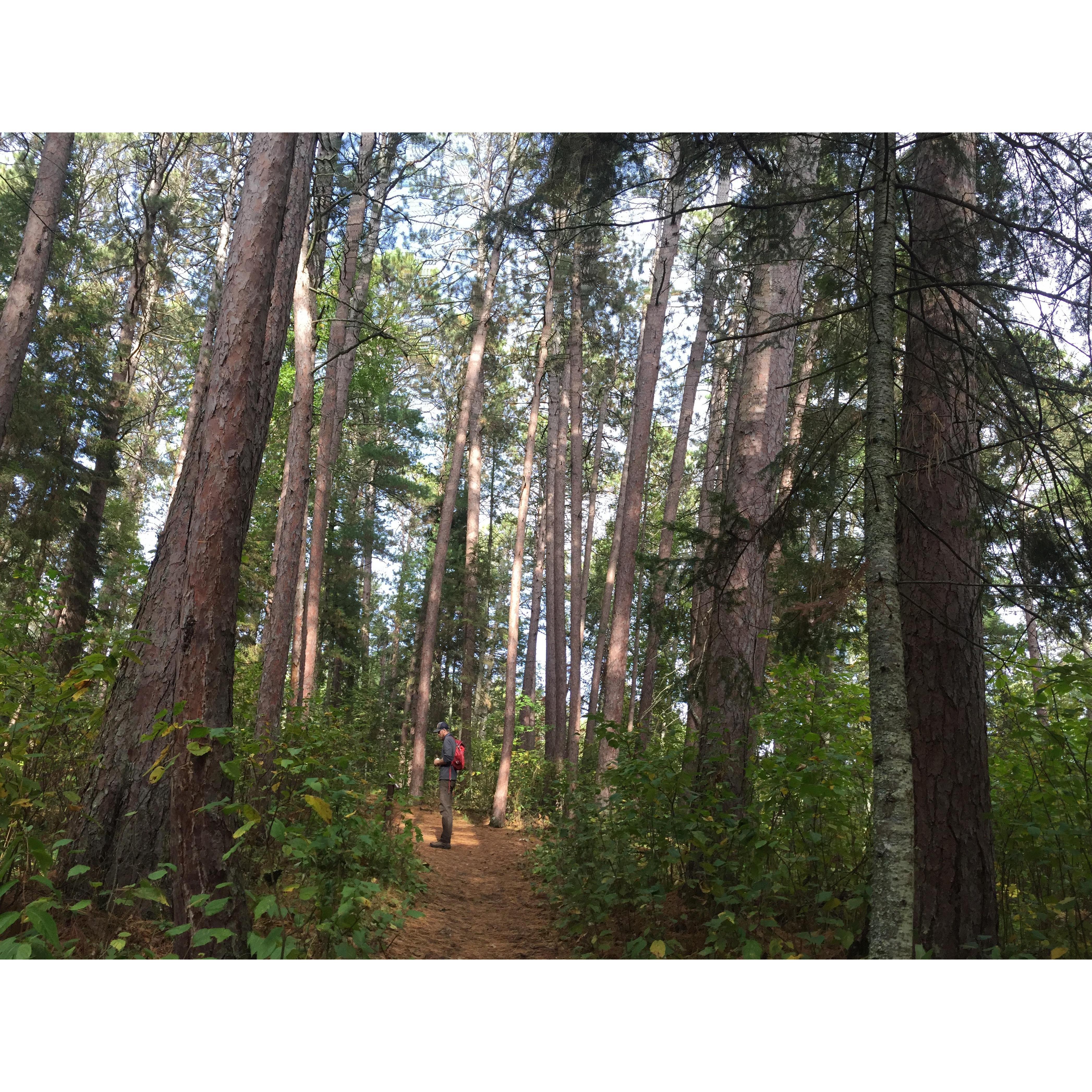 Scenic State Park - September 2018