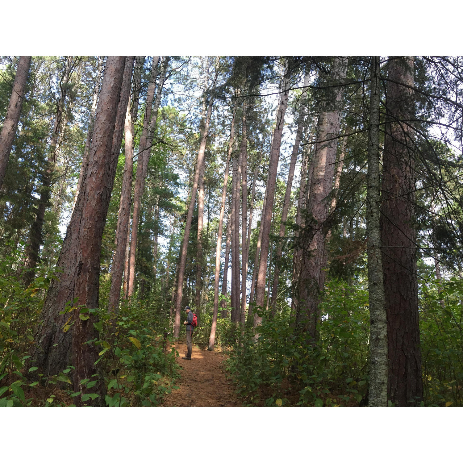 Scenic State Park - September 2018