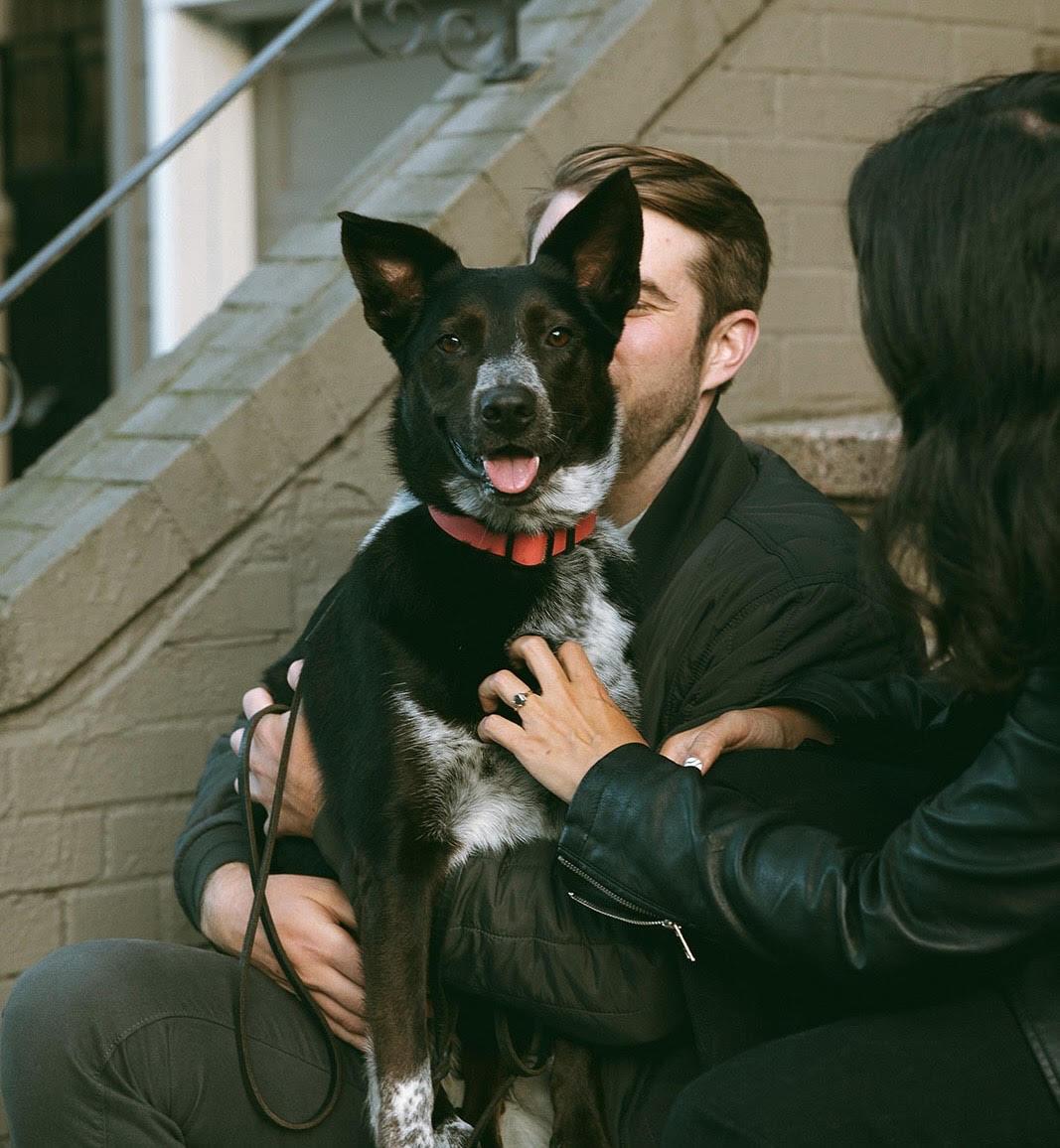 The Wedding Website of Taylor Bibbey and Max Blaha