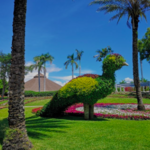 Jardines de México