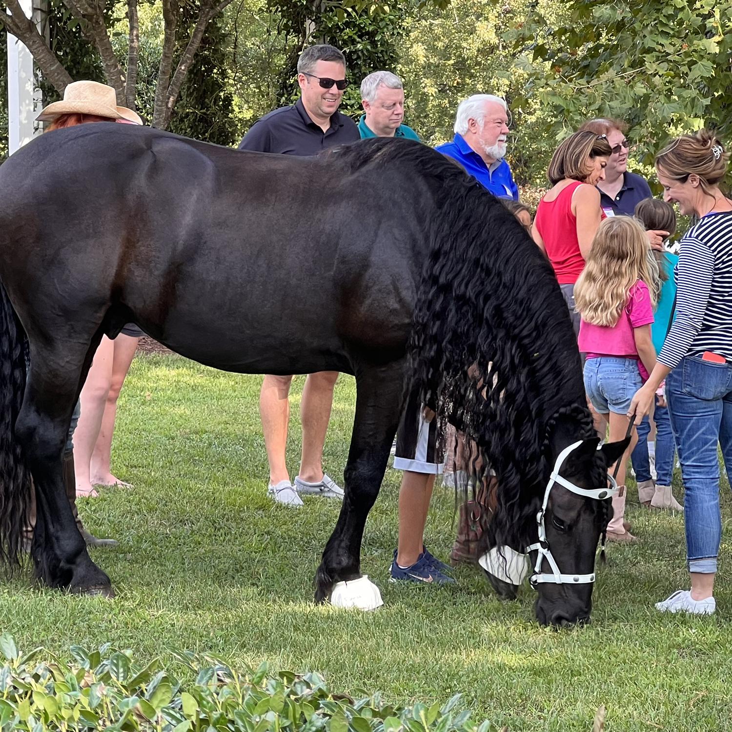 We attended one of the summer’s neighborhood events and captured this photo one of the many beautiful horses in our neighborhood.