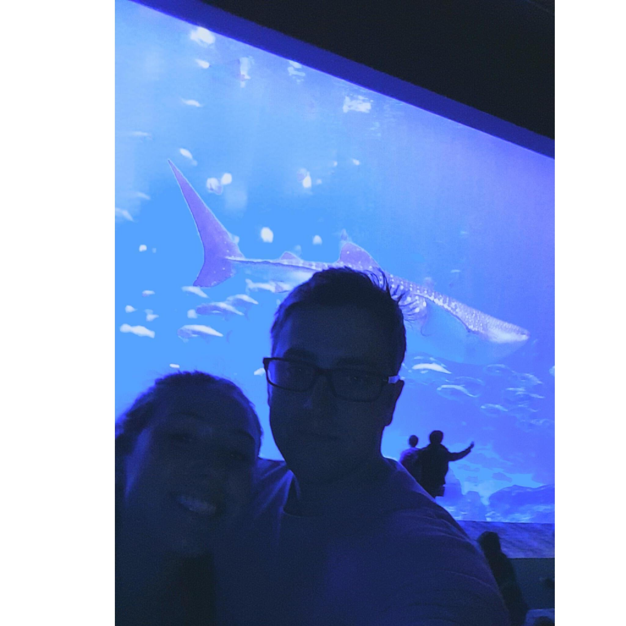Atlanta Aquarium - 2017