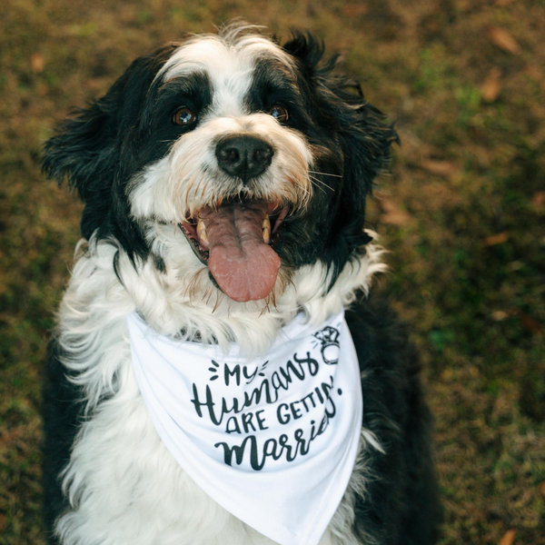 Support Our Wedding Celebration Fund