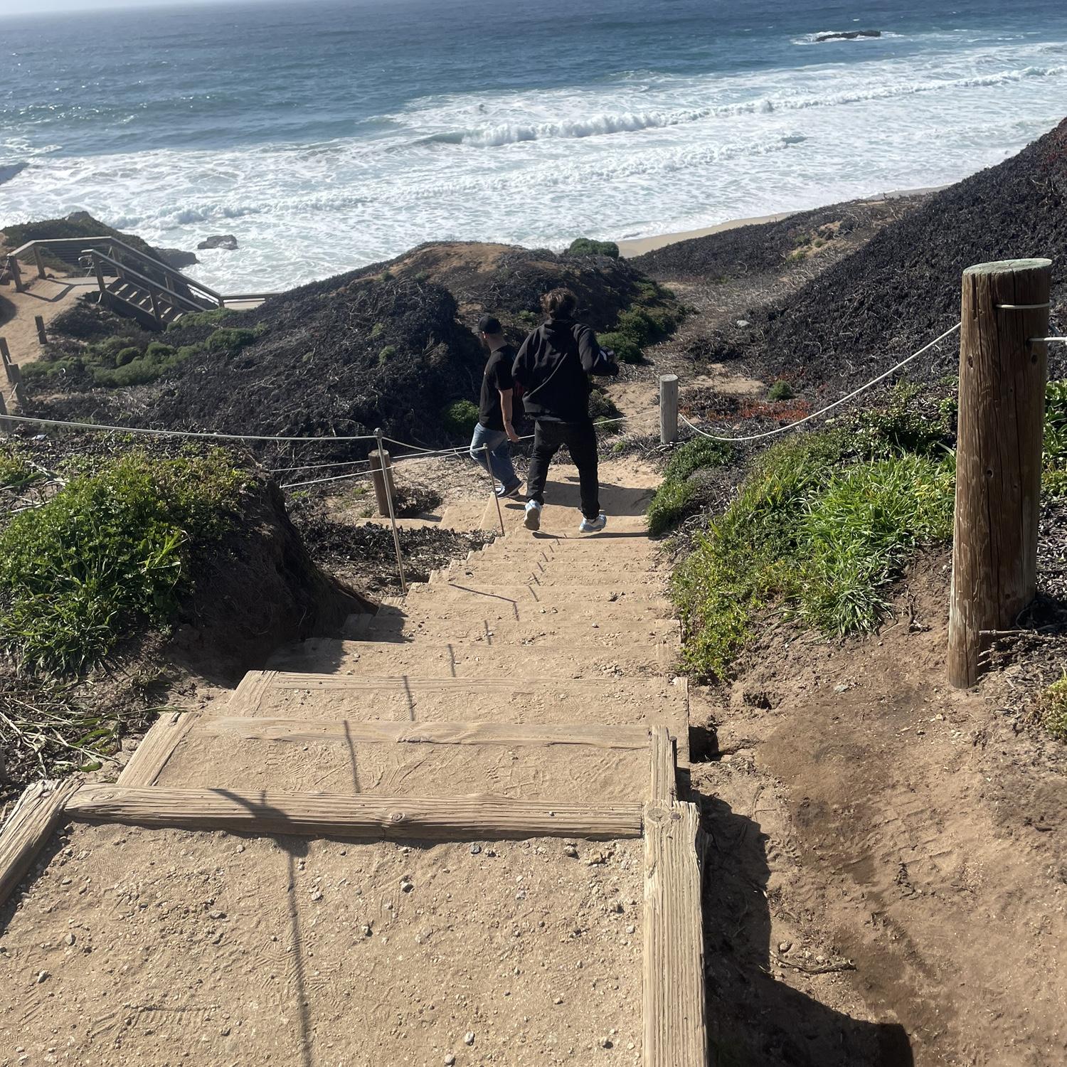 Follow them to the dirt trail and then to the veer with the option of left or right! Please go left and continue to follow!
