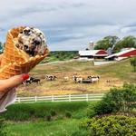 Moomers Homemade Ice Cream