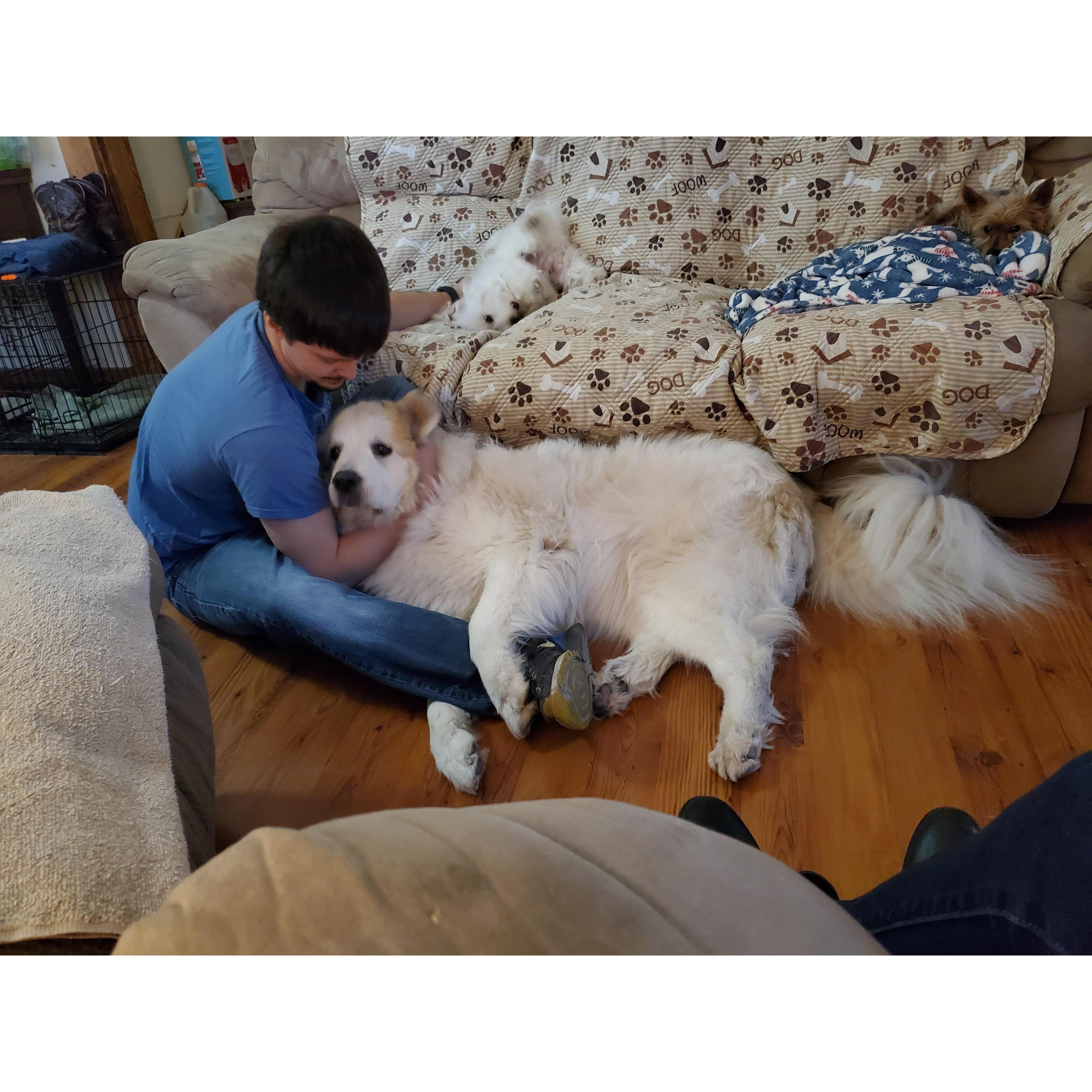 My other competition for Dylan's love, his Great Pyrenees, Sally <3