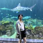 Shedd Aquarium