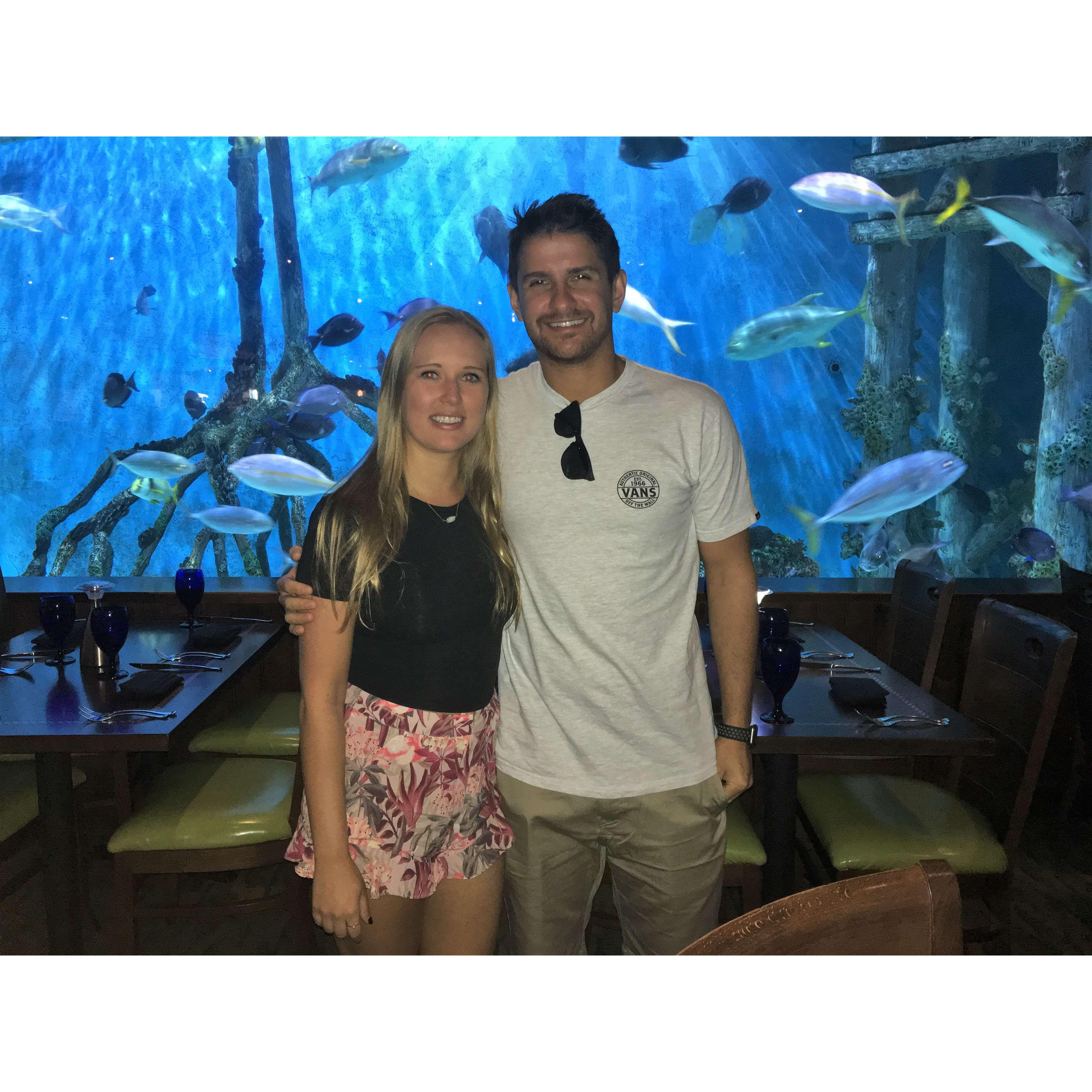 St. Petersburg, Florida (February 2019)