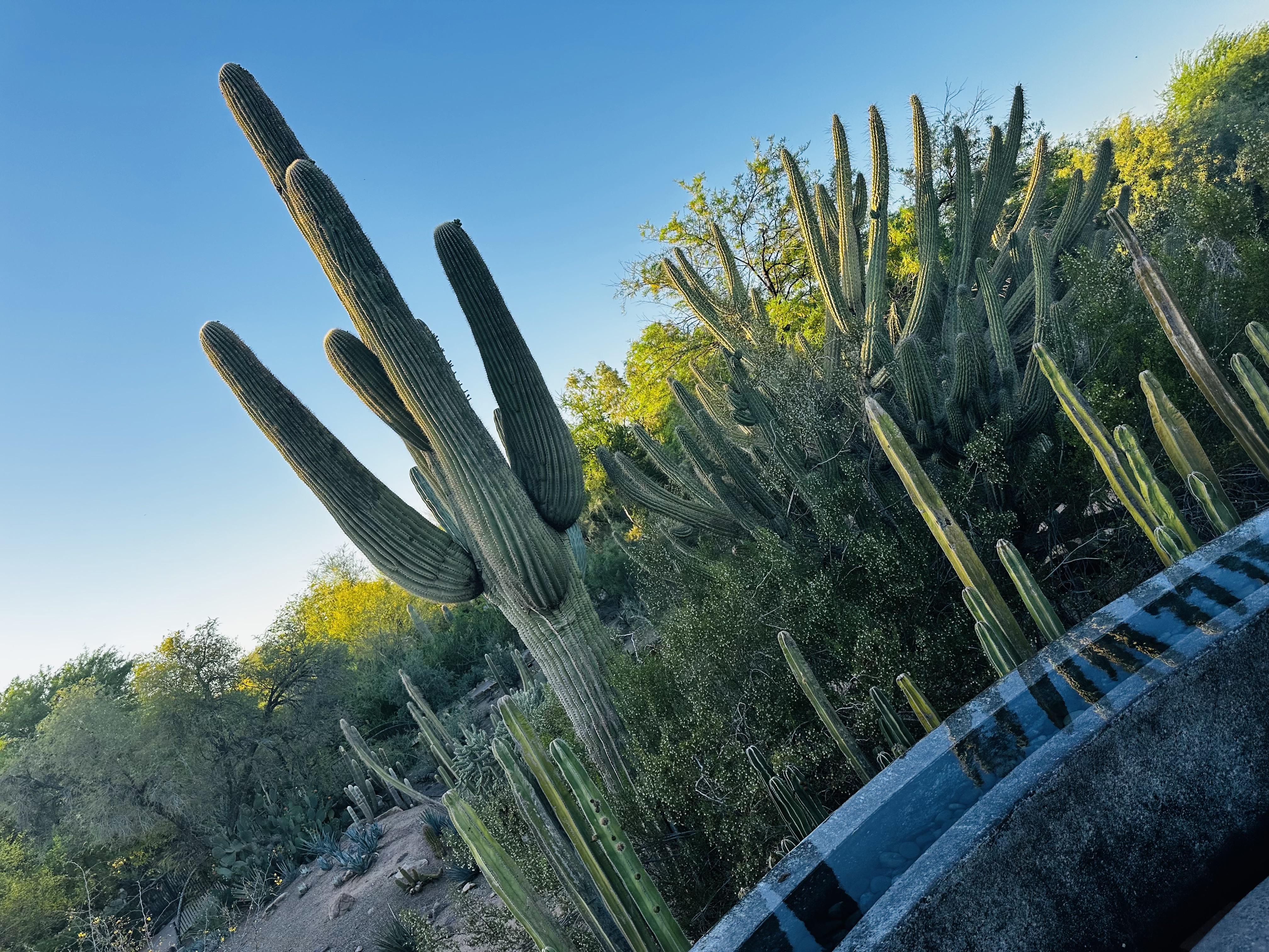 The Wedding Website of Itzel Ruby Chávez Martínez and Zachery Michael Esterline