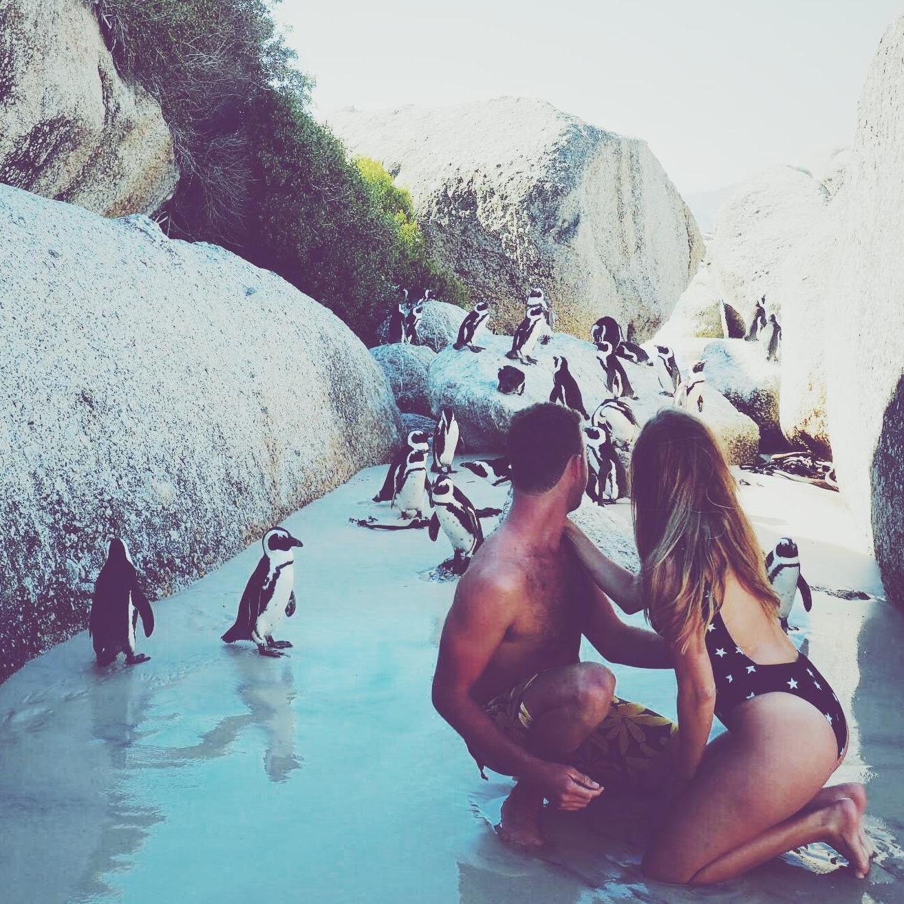 Blending in with the penguins in Cape Town, 2017