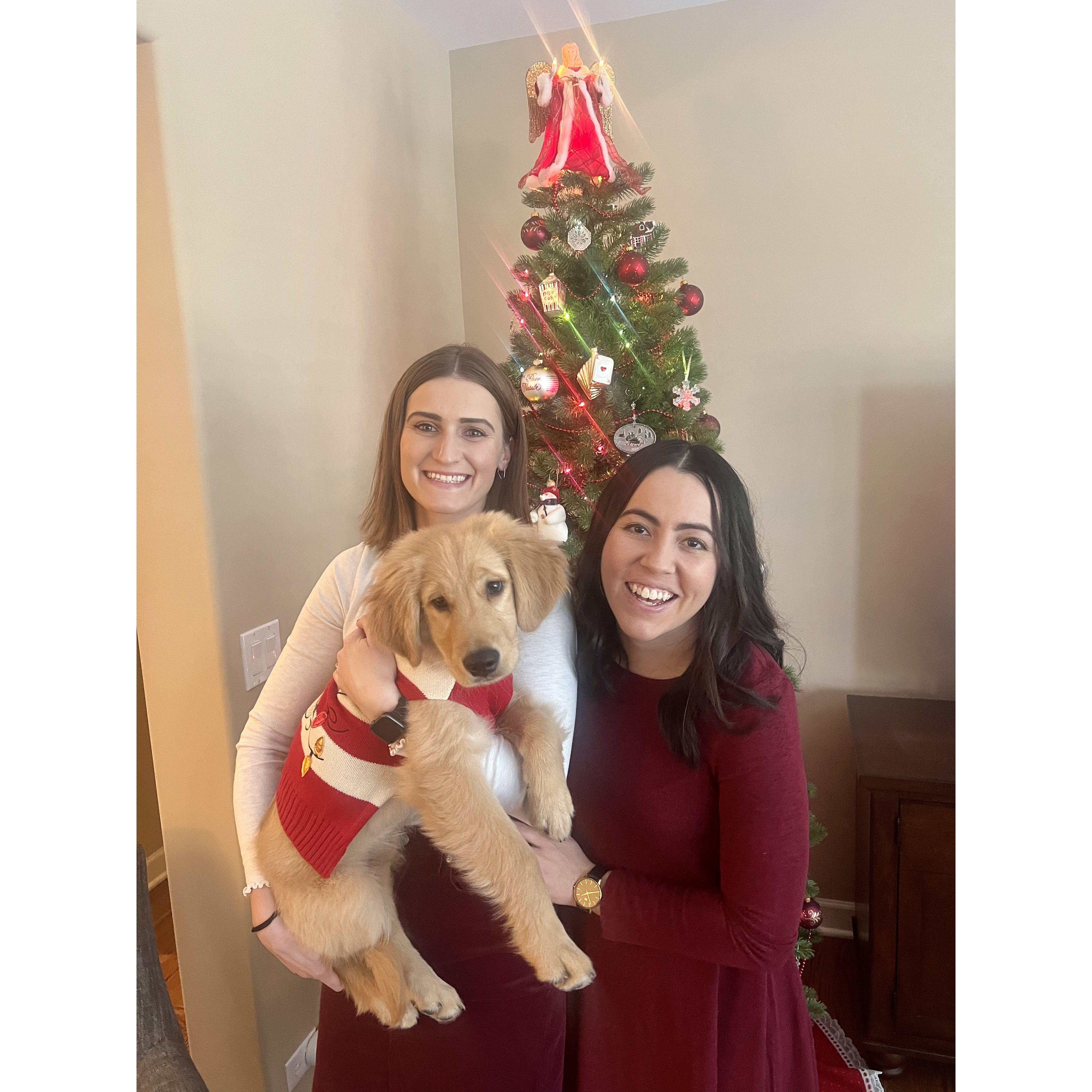 Bogey's first Christmas!