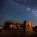 Explore Joshua Tree National Park!