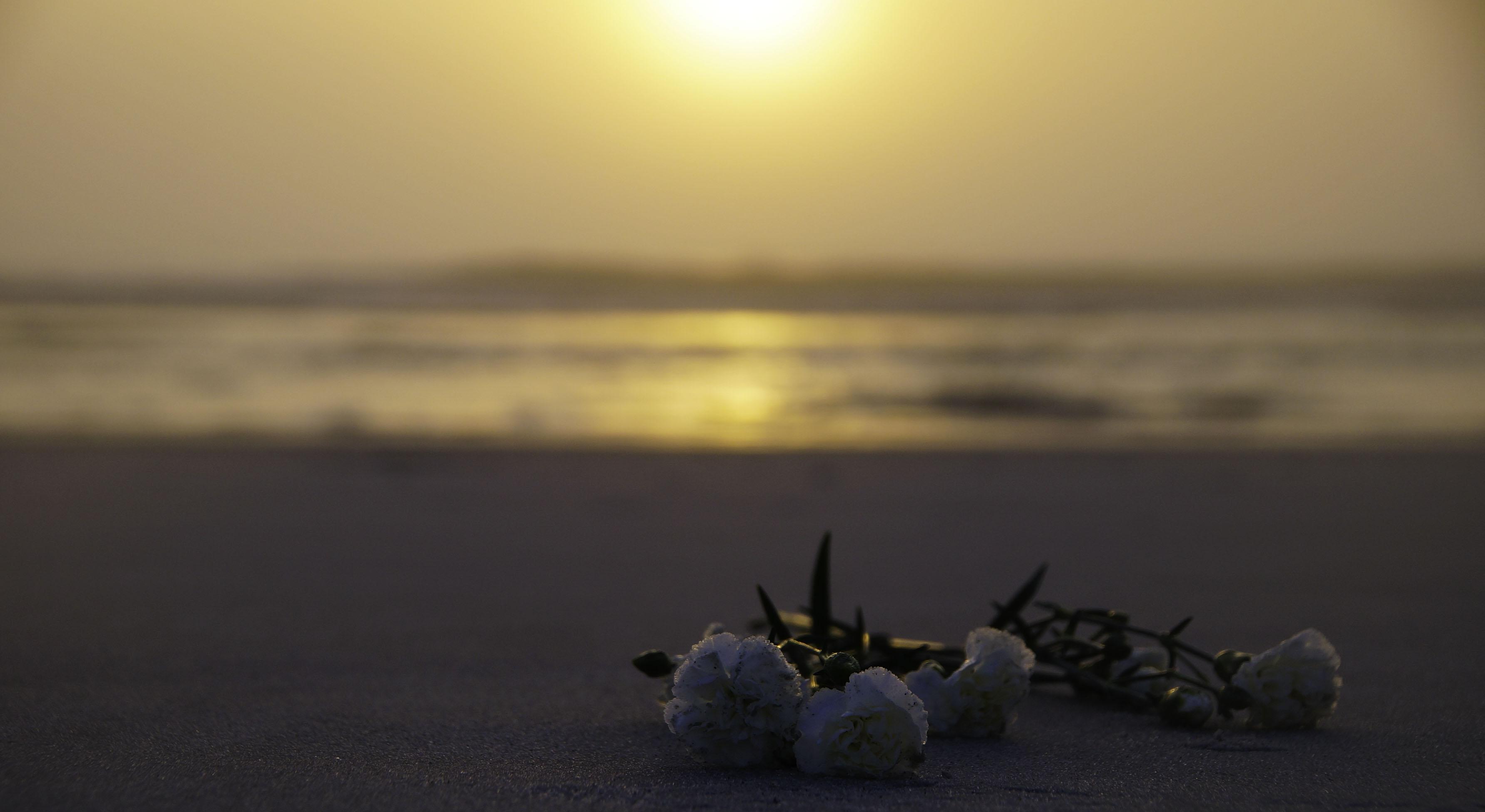 Footer image