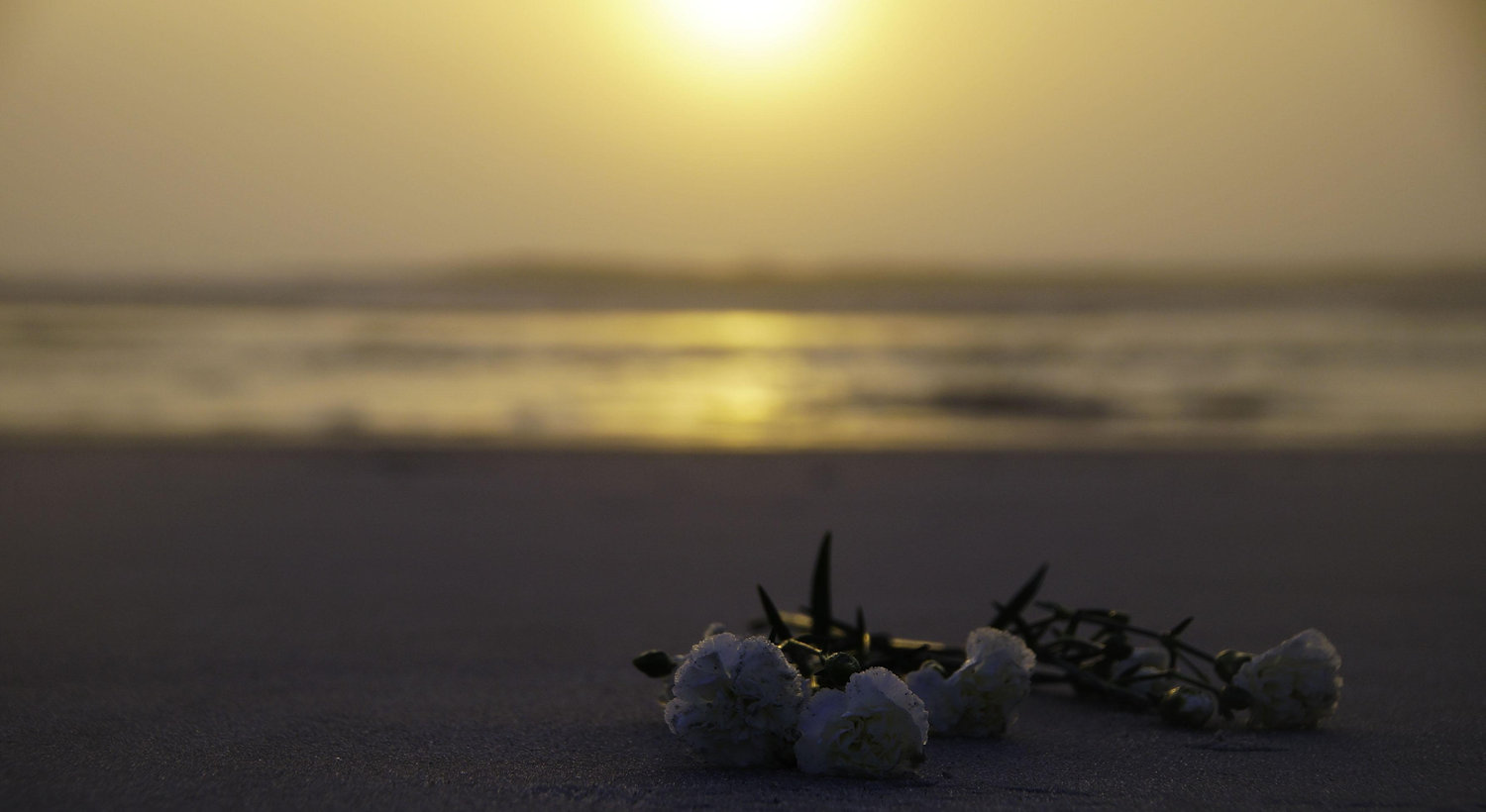Footer image