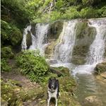 Owen D. Young Nature Trail/ Waterfalls