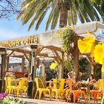 Sunflower Caffé