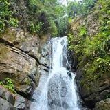 El Yunque National Rainforest