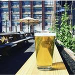 The Dayton Beer Company