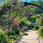 Visit Lake Lure Flowering Bridge