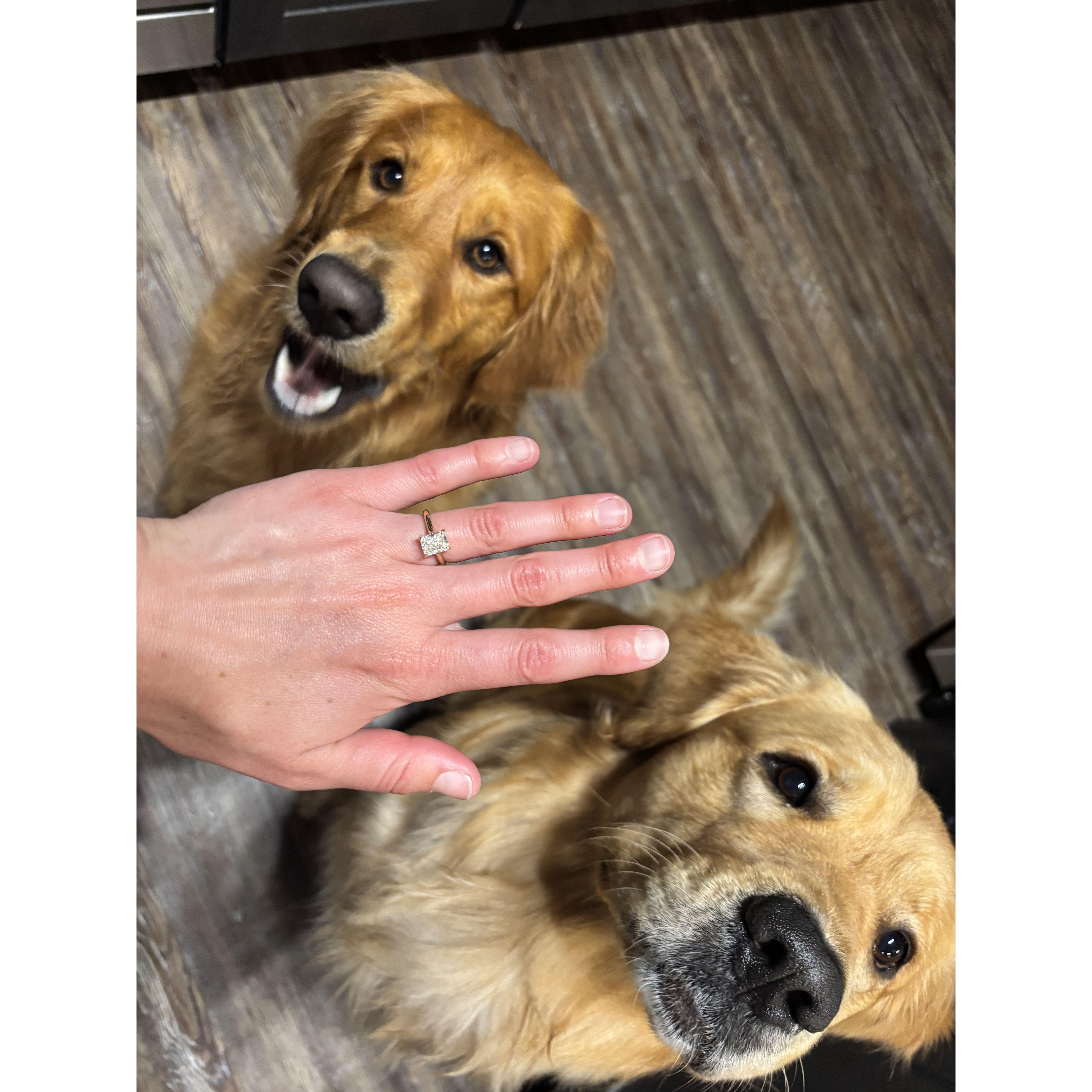 The matchmakers- Lilo and Buck :)