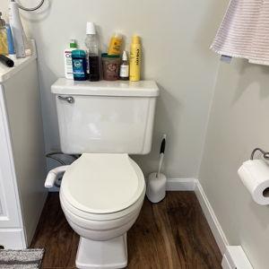 Replace Our Upstairs Toilet!