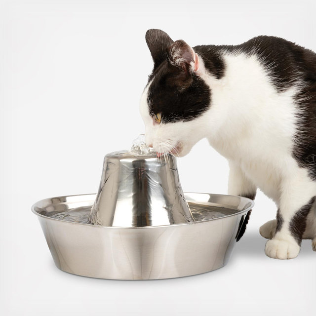 Pet Safe, Seaside Pet Fountain | Zola