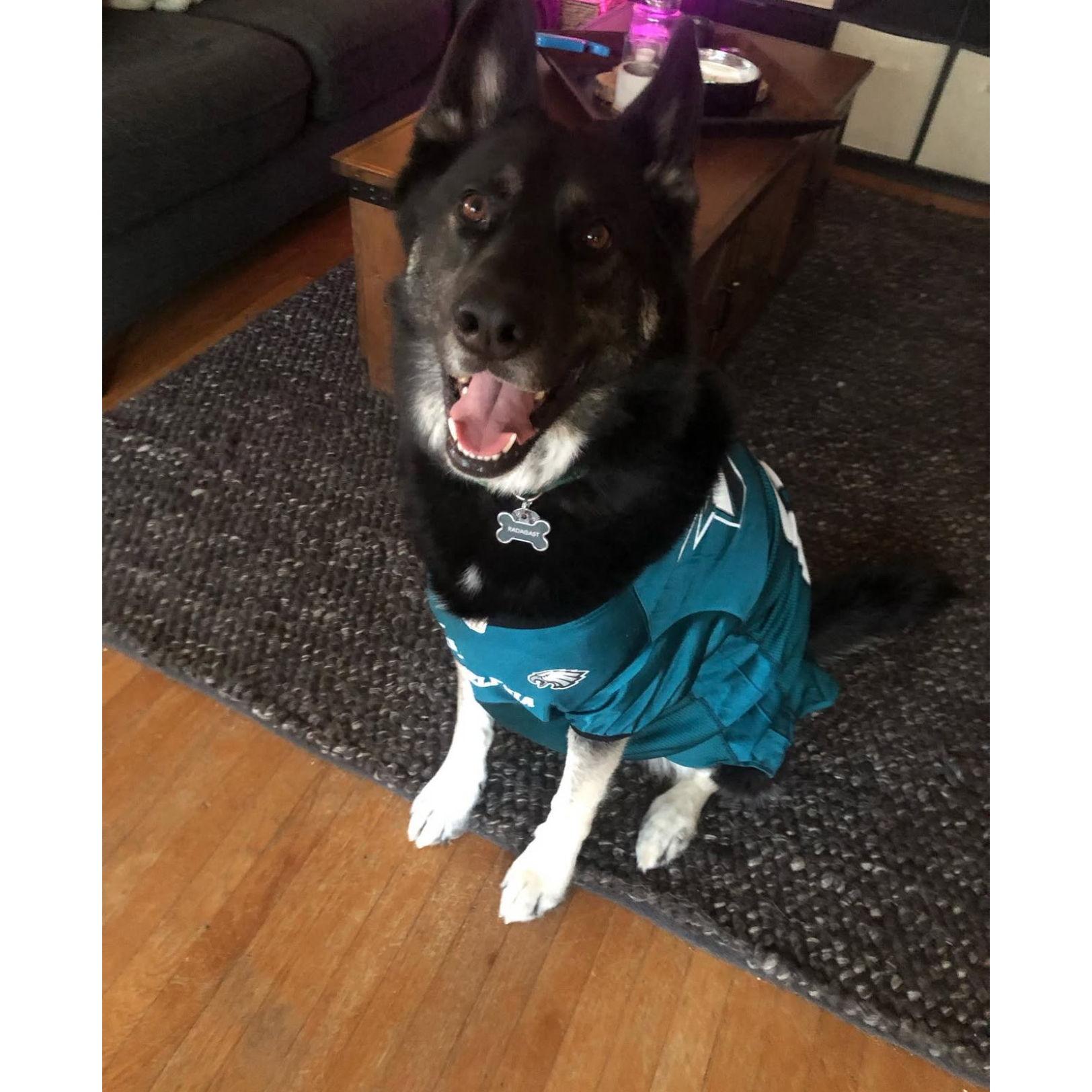 GO BIRDS!