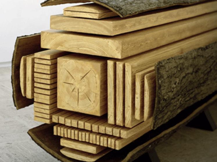Portable Saw Mill for building our house!