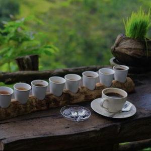 Coffee Tour