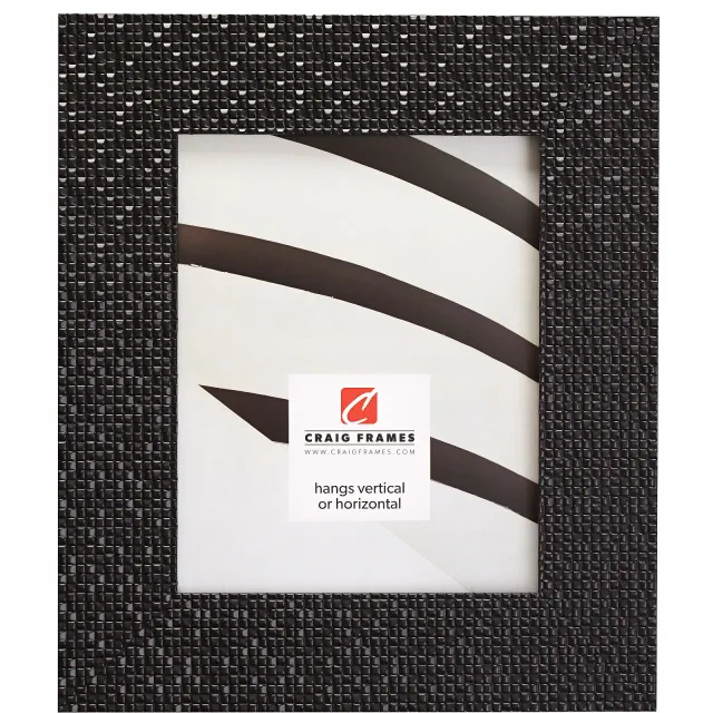 Craig Frames Glimmer 11x14 inch Black Picture Frame Matted for a 8x10 Photo