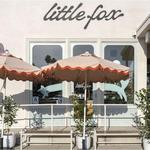 Little Fox Cups and Cones