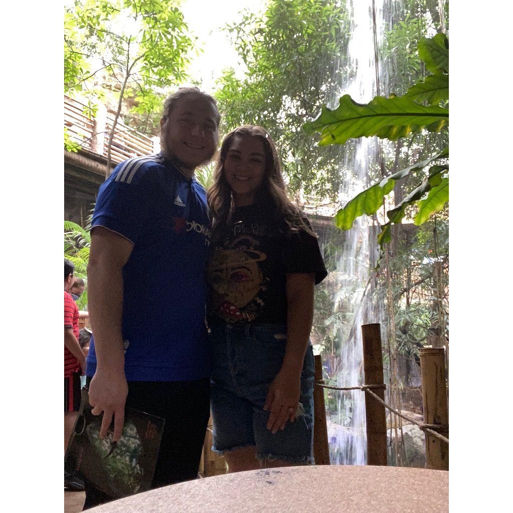 When you go to an aquarium and see more birds than sea life...