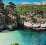 Point Lobos State Natural Reserve