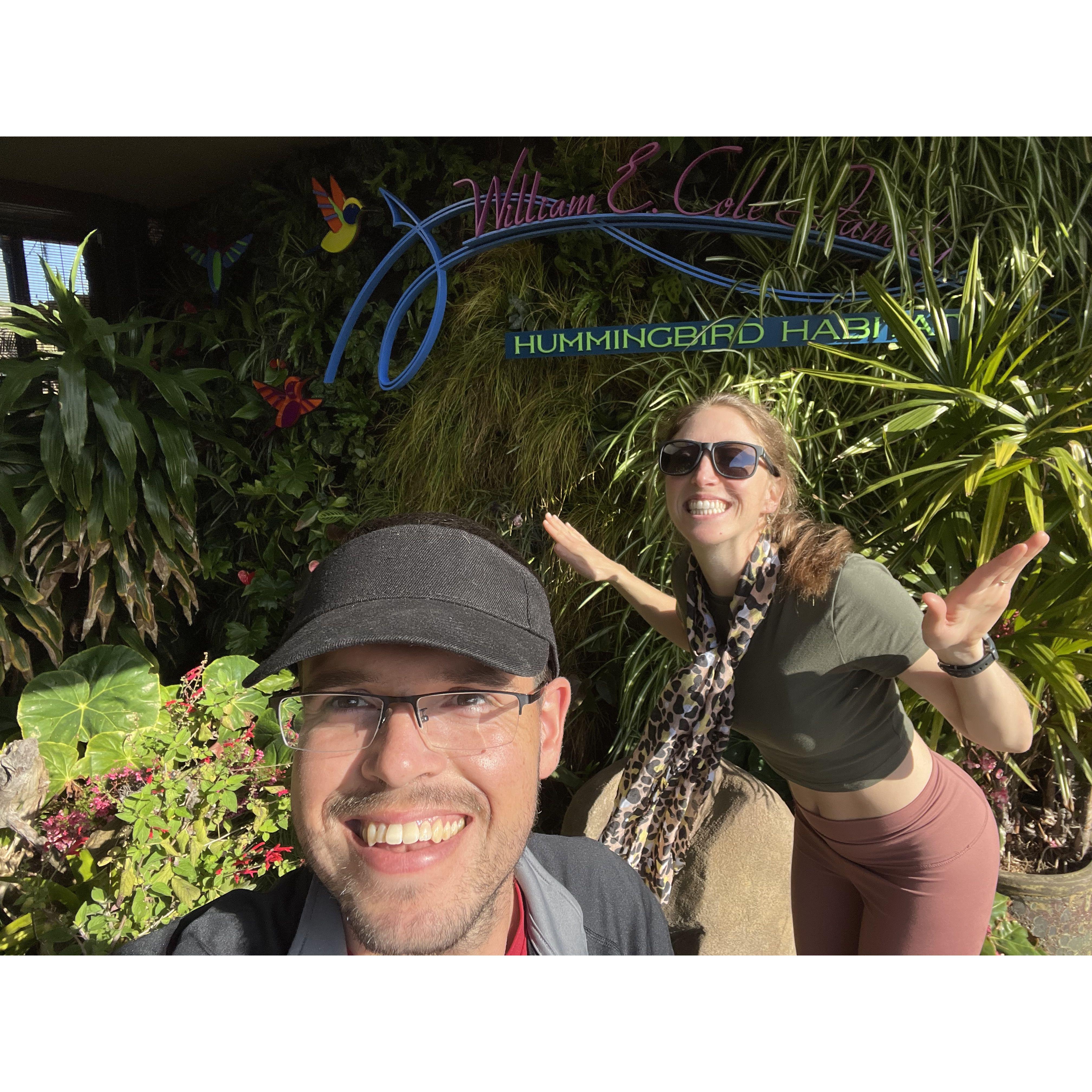 San Diego Zoo... हमिंगबर्ड मराठी  !