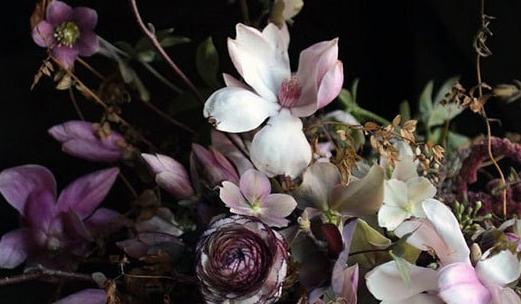 The Wedding Website of Matthias Balesse and Sara Mooney