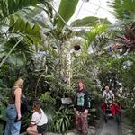 Conservatory of Flowers