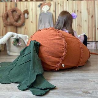 Oli & Carol Cathy The Carrot Bean Bag