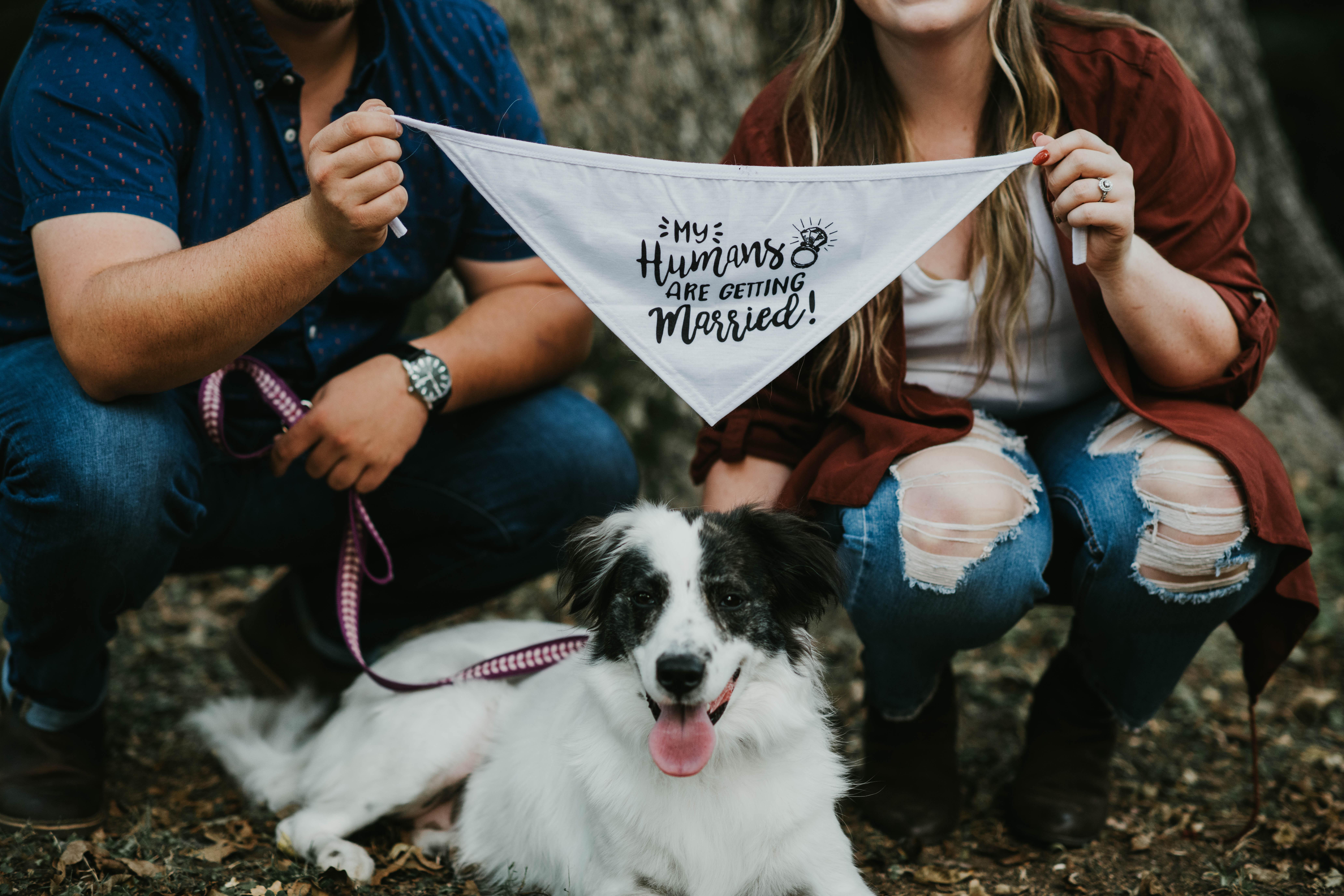 The Wedding Website of Kari Brown and Cameron Duff