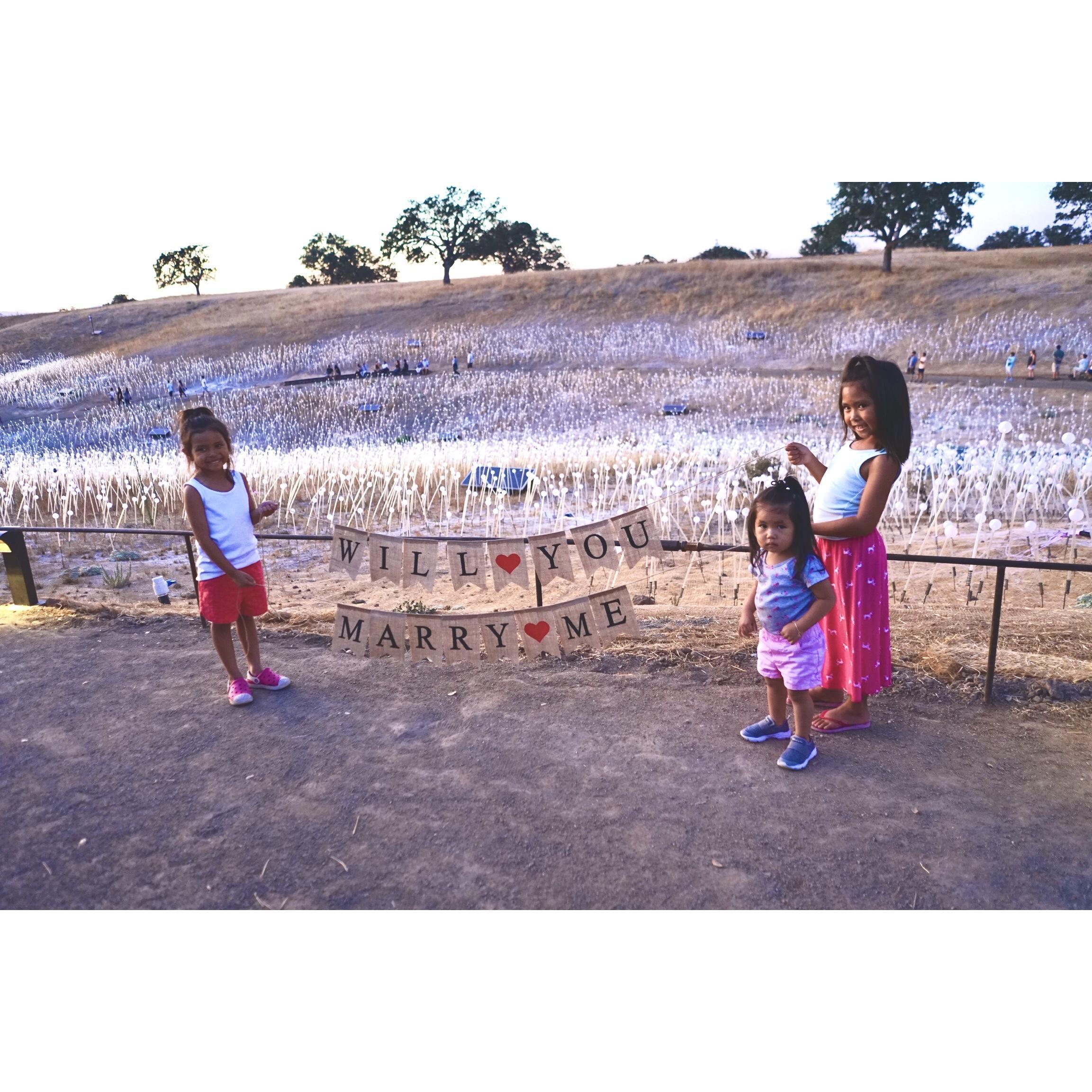 The Proposal (Sensorio: Field of Lights by Bruce Munro - Paso Robles, CA)