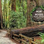 Muir Woods National Monument