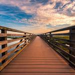 Bolsa Chica Conservancy