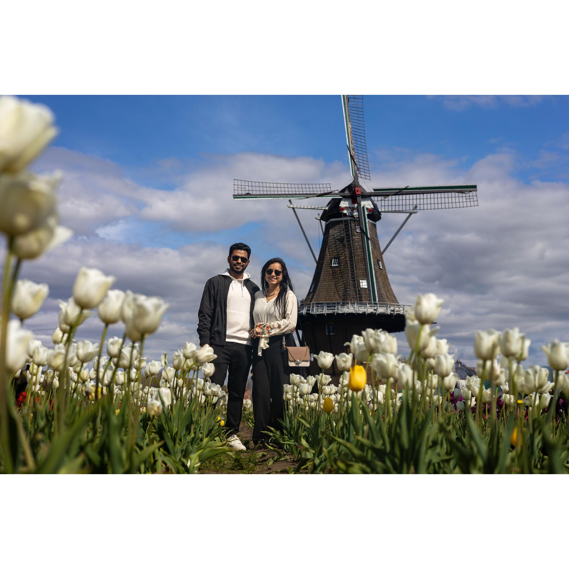 Love in full bloom among the tulips.